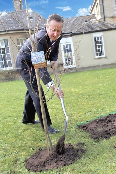 David-Cameron-TGO-NHS-Forest-tree-planting